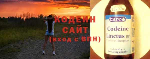 дурь Инсар