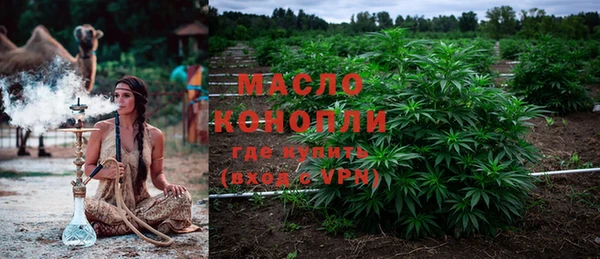 мет Инта