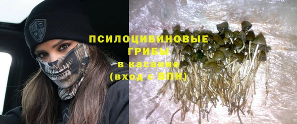 дурь Инсар