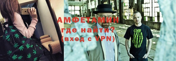 дурь Инсар