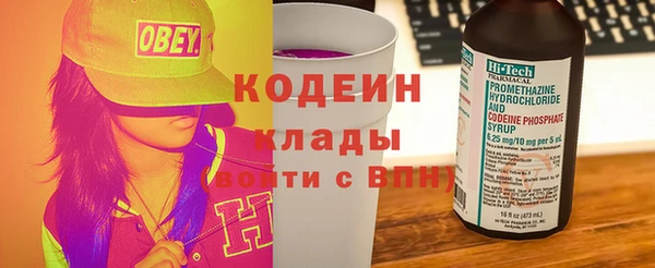 дурь Инсар