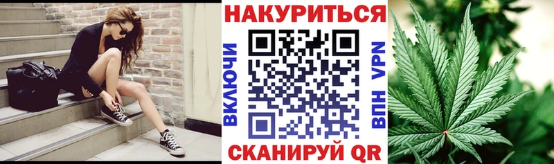 Купить  Петровск-Забайкальский  Конопля семена 